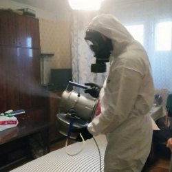 Дезинфекция от клопов в Изваре