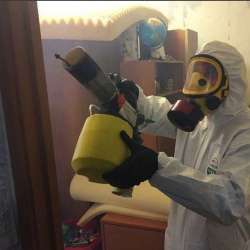 Уничтожение клопов в квартире. Извара